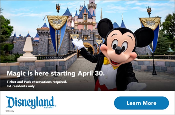 Disneyland banner with a learn more button