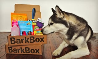 barkbox