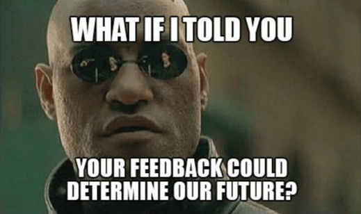 feedback determine future