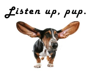 listen up pup 2jpg