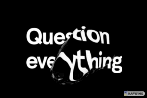 question everything 300