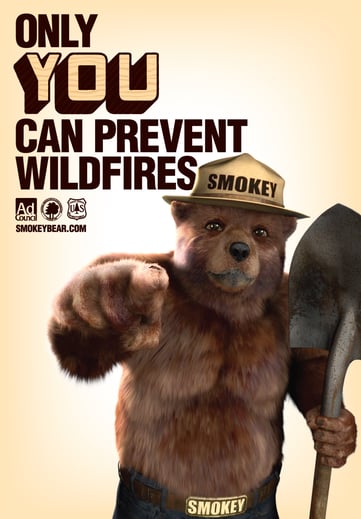 smokey the bear