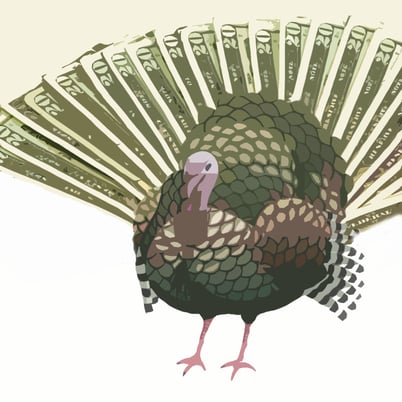 turkey money